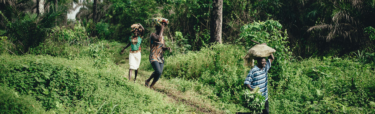 Правила въезда в Сьерра-Леоне
