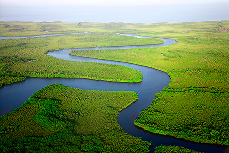 Туры в Гамбию