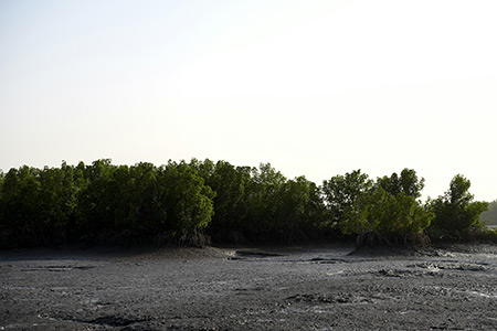 Туры в Гвинея-Бисау