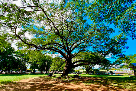 Туры в Либерию