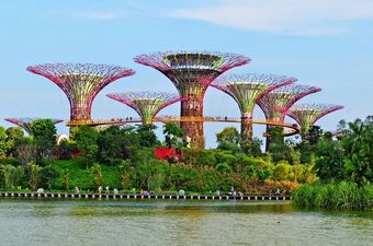 Сады у залива (Gardens by the bay)