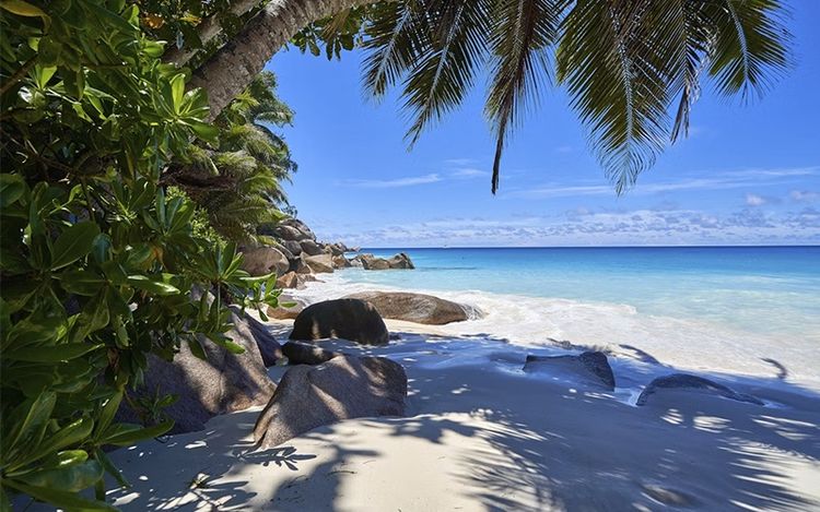 Онлайн бизнес-завтрак по Сейшелам для турагентов