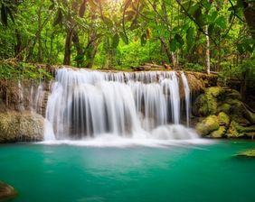 Сафари и Эко-туры