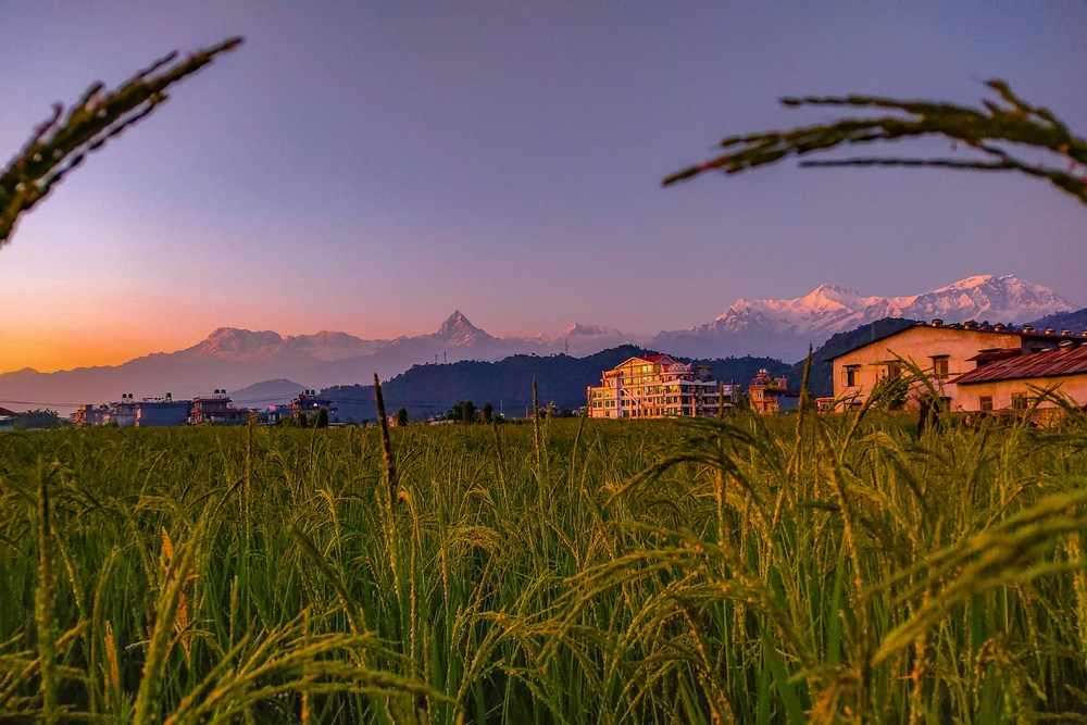 Непал: Покхара