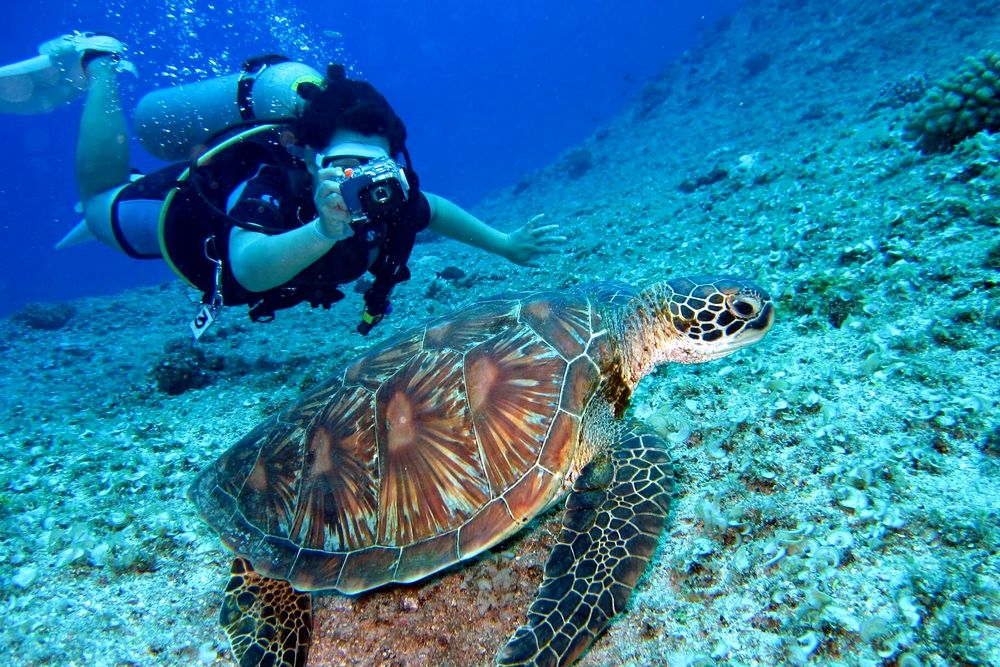 Мальдивы: Ifuru Island Maldives 5*, развлечения