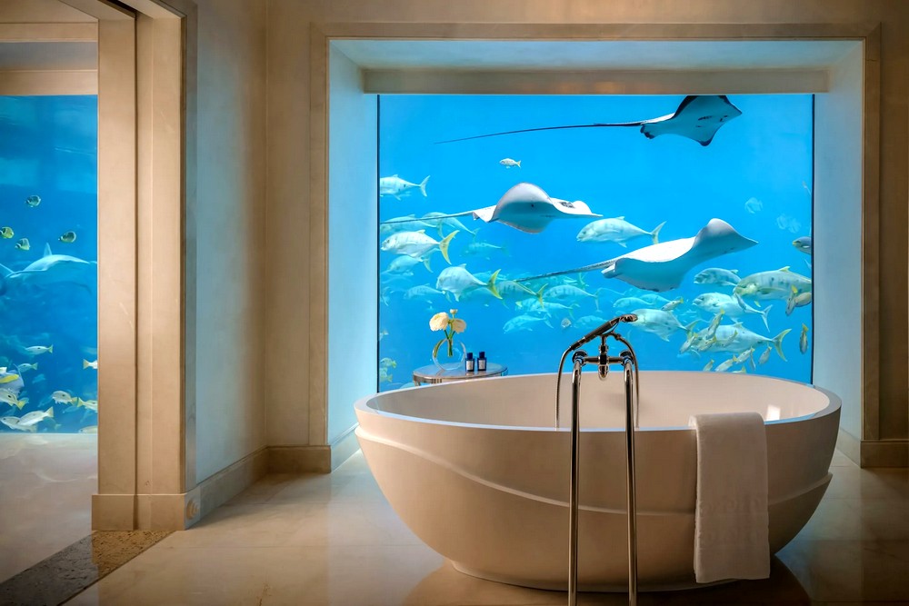 ОАЭ: Дубай, Atlantis The Palm, размещение