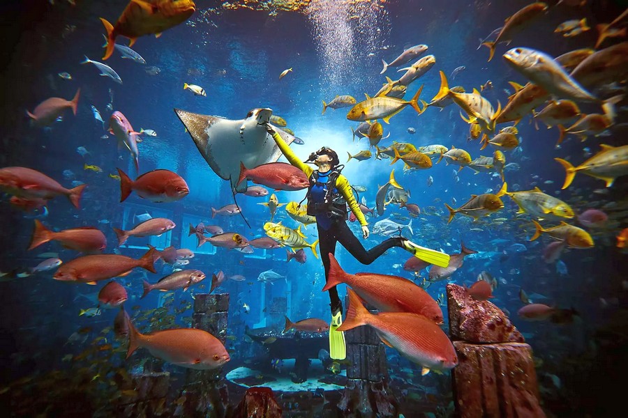 ОАЭ: Дубай, Atlantis The Palm