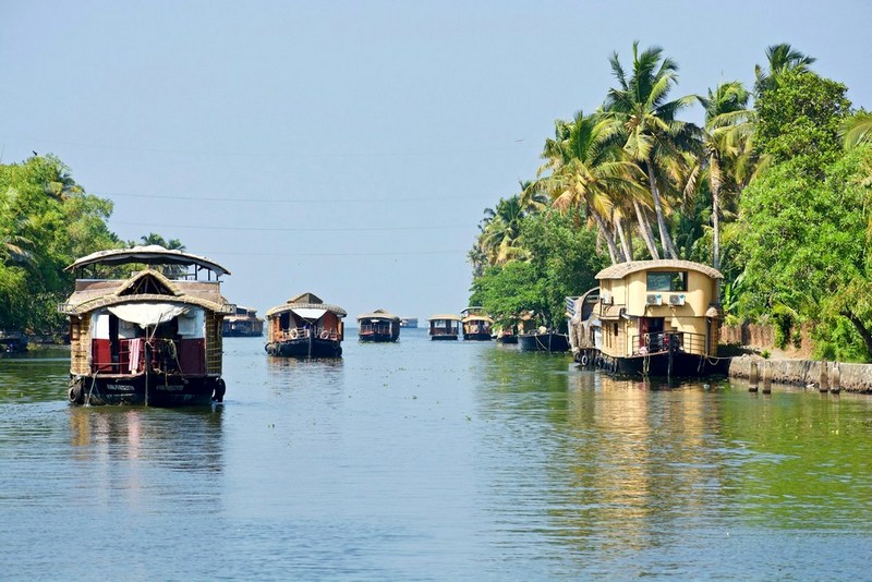 Индия: Аюрведа в Керале