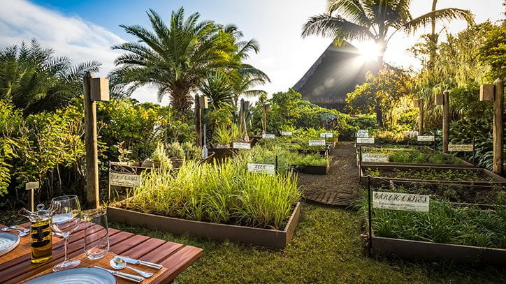 Маврикий: The Oberoi Mauritius, рестораны