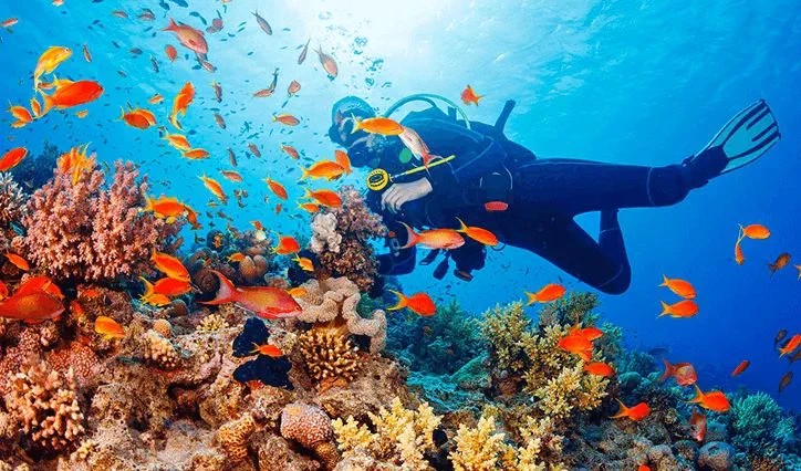 Маврикий: The Oberoi Mauritius, развлечения