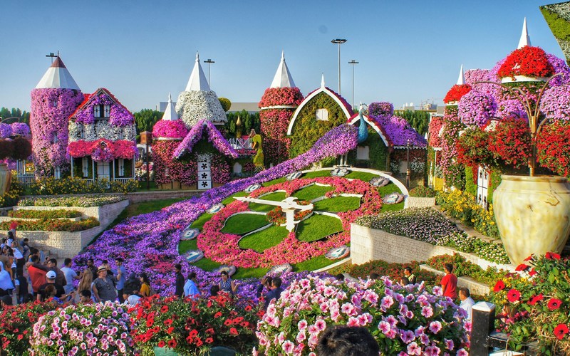 ОАЭ: Дубай, Miracle Garden
