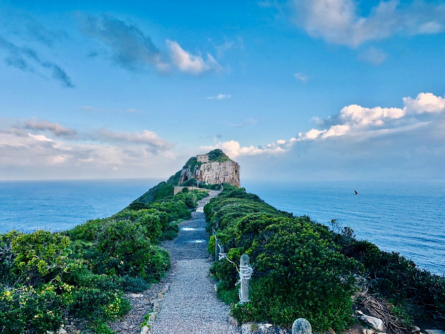 ЮАР: мыс Доброй Надежды