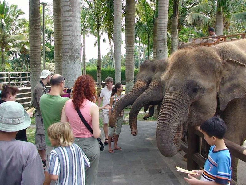 Зоопарк Бали