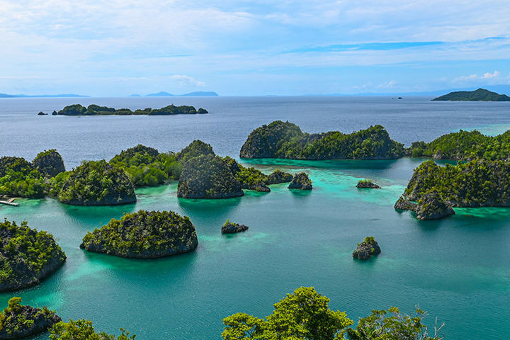 Индонезия: Раджа-Ампат, Западное Папуа