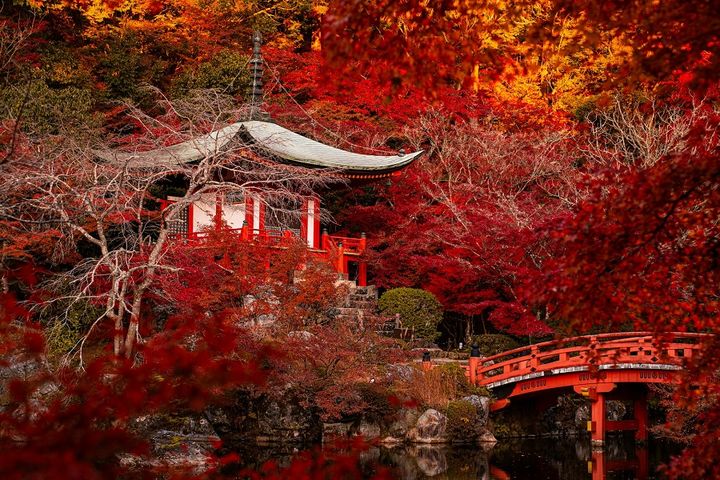 Туры Япония с Востока на Запад