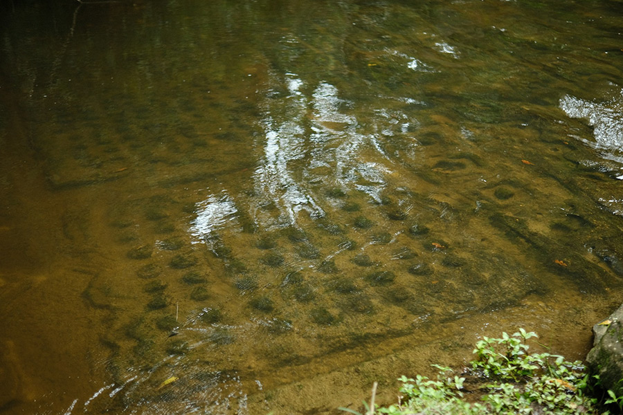 Камбоджа: Пном Кулен