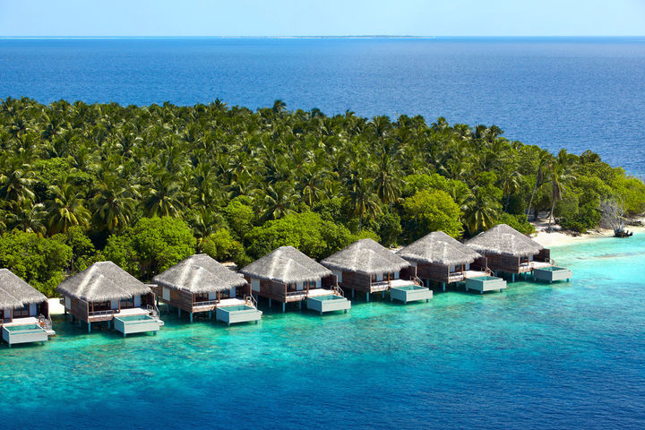 Туры на Мальдивы: Dusit Thani Maldives
