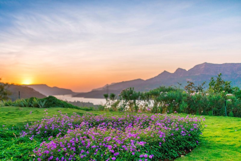 Индия: Atmantan Wellness Resort