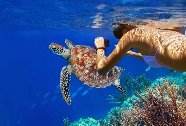 Индонезия: Cocana Resort Gili Trawangan, дайвинг