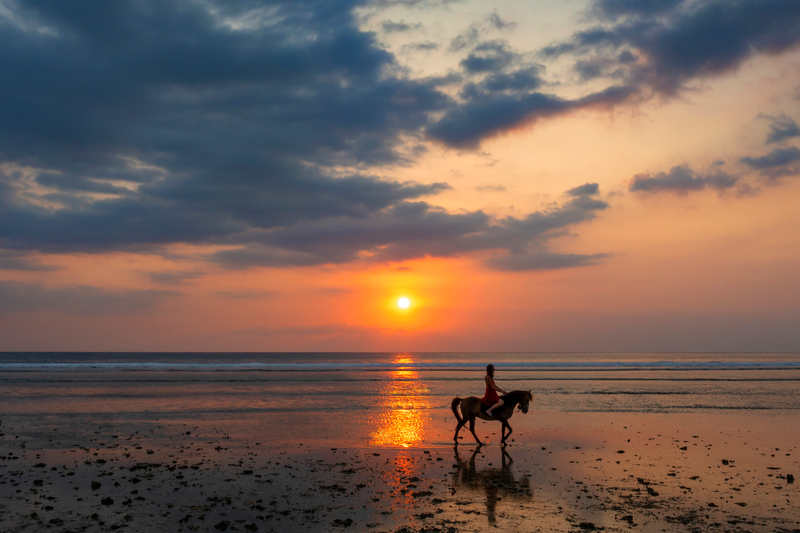 Индонезия: Kardia Resort Gili Trawangan, конные прогулки
