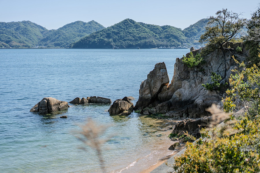 Япония: Ономити