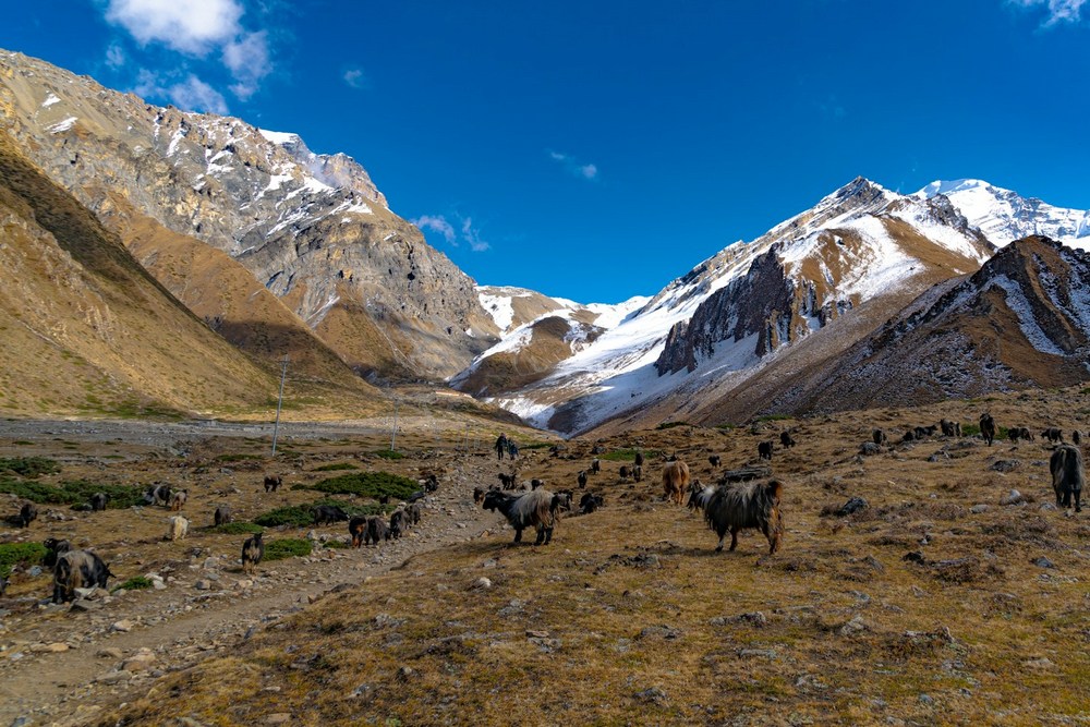 Непал: Мустанг