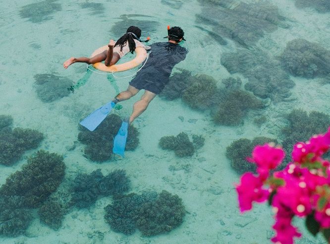 Малайзия: Борнео