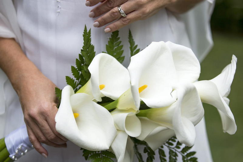 Сейшелы: Four Seasons Resort, свадьба