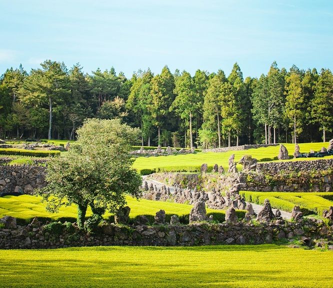 Южная Корея: остров Чеджу