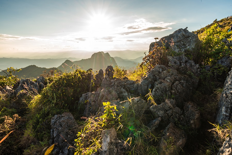 Венесуэла: Мерида