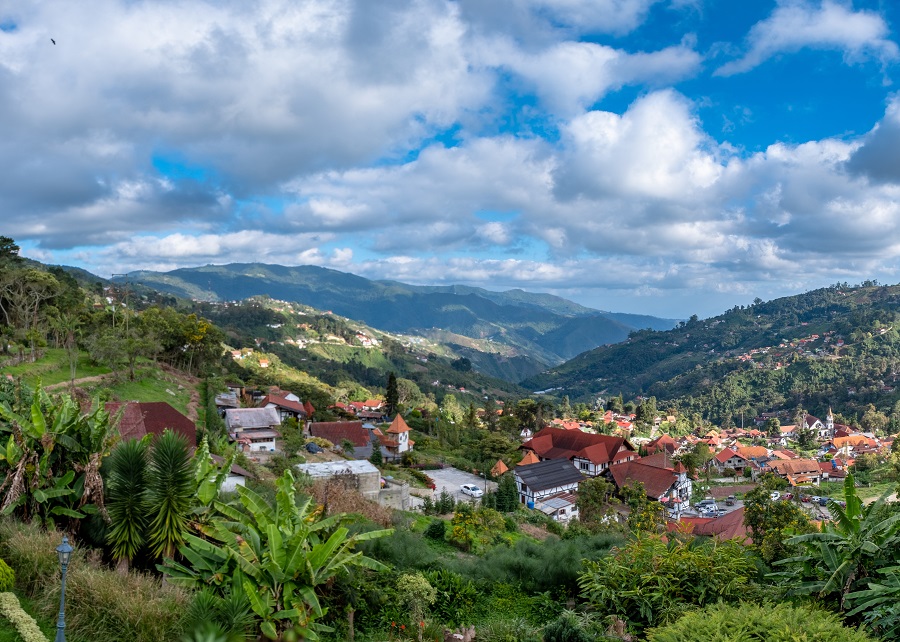 Венесуэла: Колония Товар