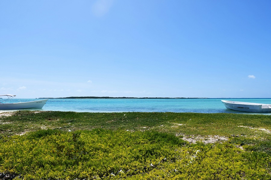 Венесуэла: Лос Рокес