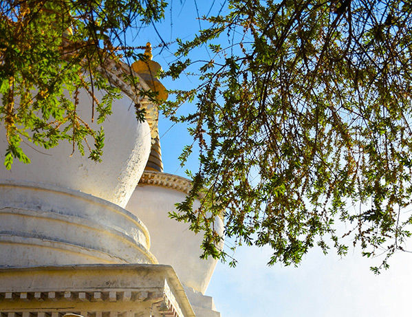 Китай: Тибет, Шигадзе, монастырь Ташилунпо