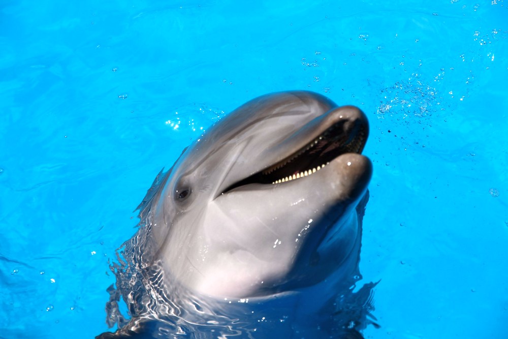 Таиланд: Пхукет