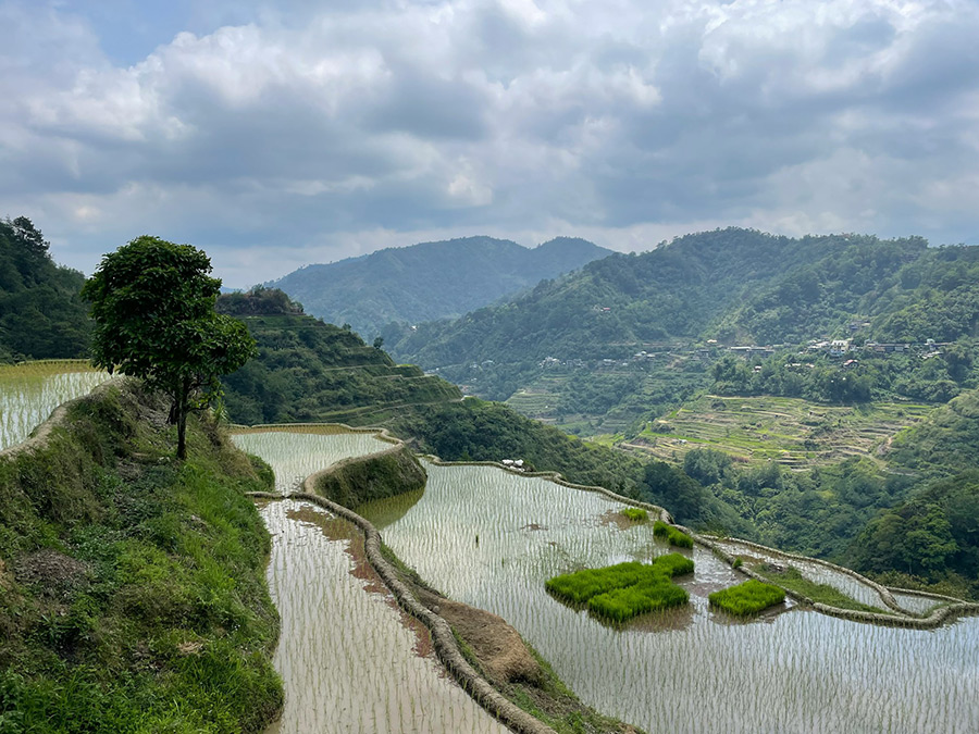 Филиппины: Банауэ