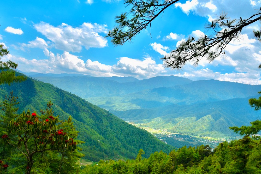 Бутан: Паро