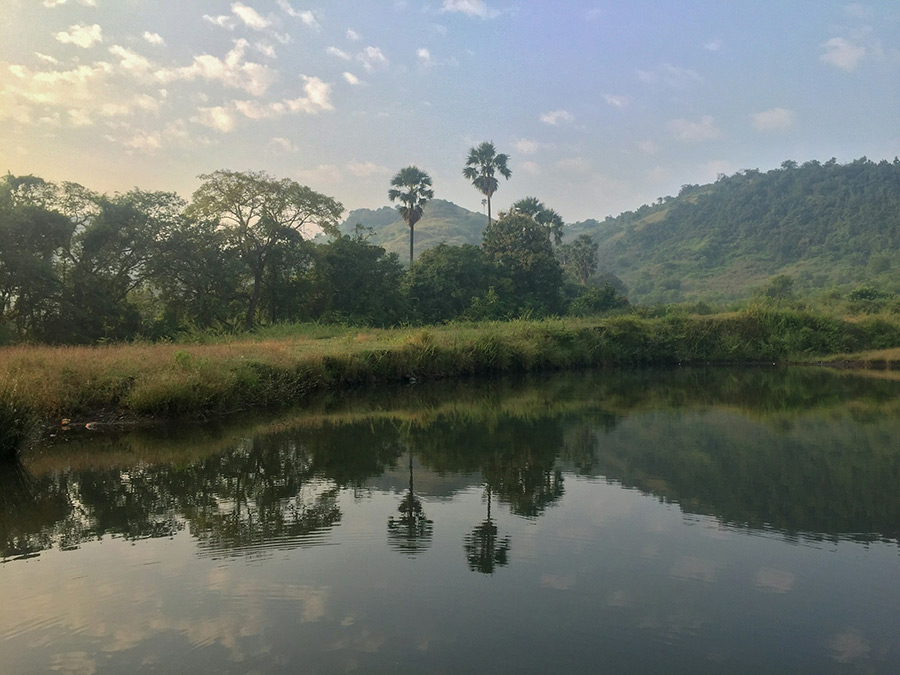 Индия: Ревданда