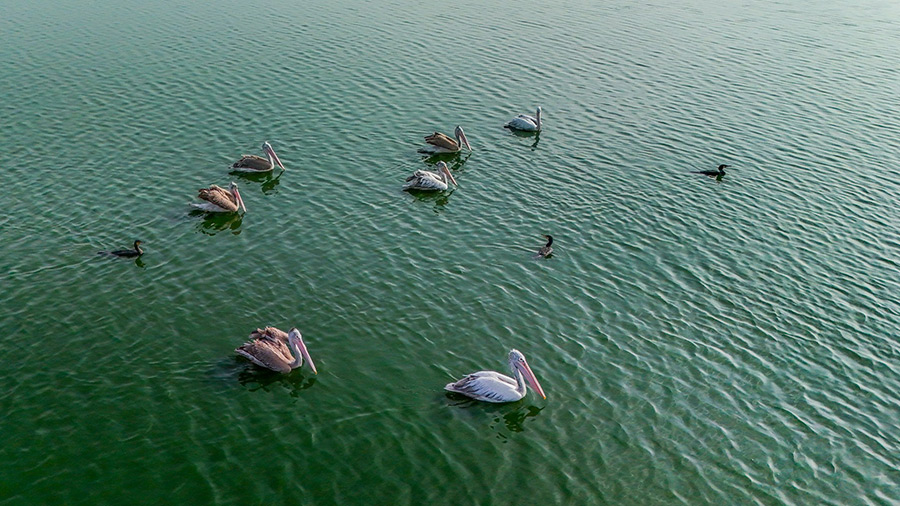 Индия: Райчур