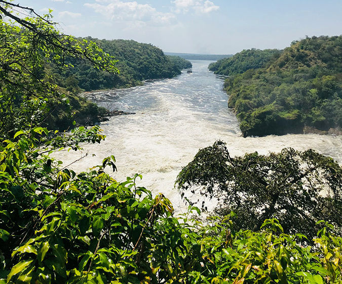 Уганда: парк Водопад Мерчисон