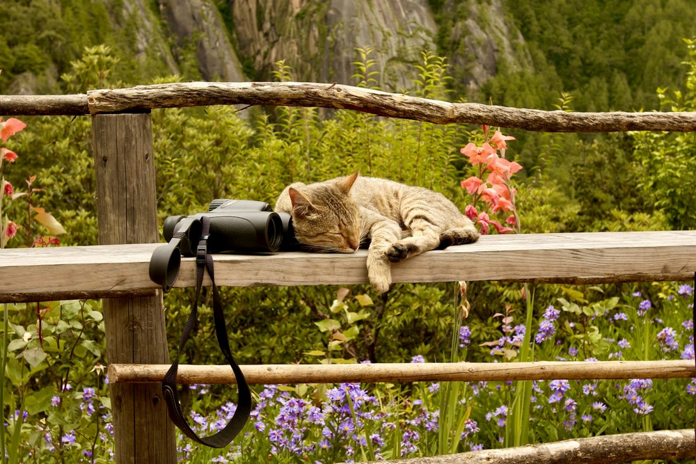 Групповые туры в Бутан