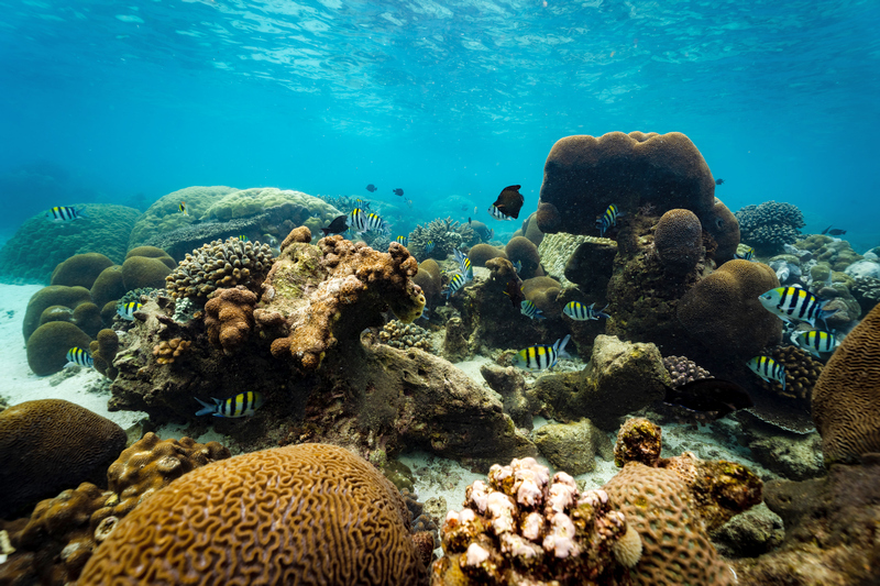 Мозамбик: Kisawa Sanctuary, экскурсии