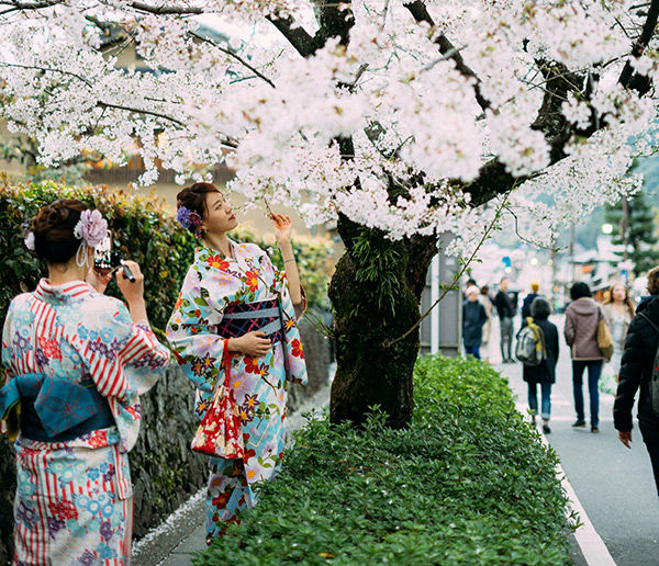 Япония: Токио