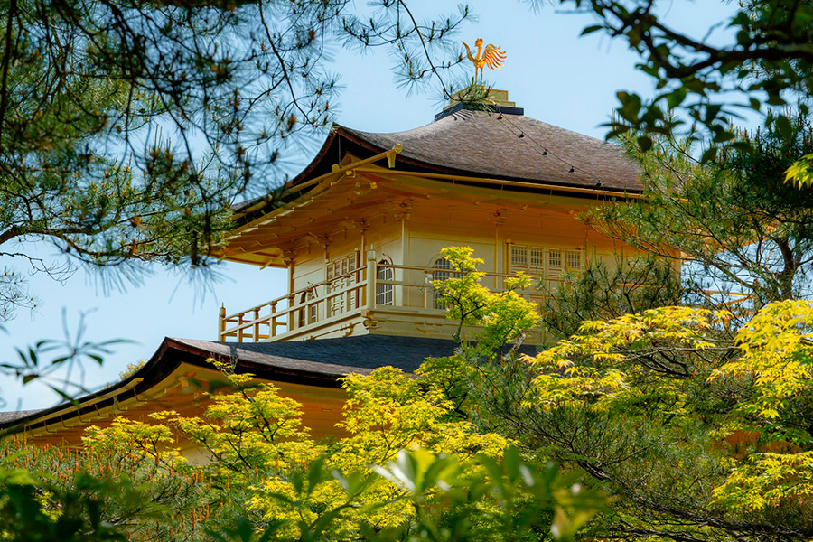 Япония: Киото