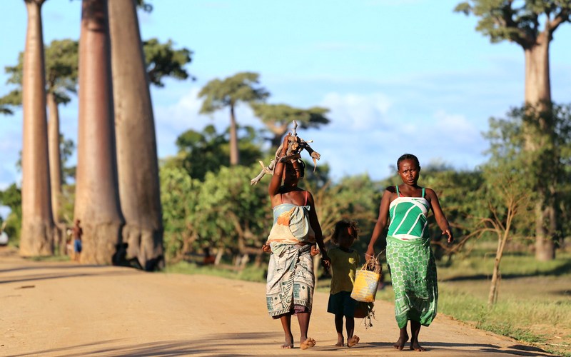 Туры на Мадагаскар