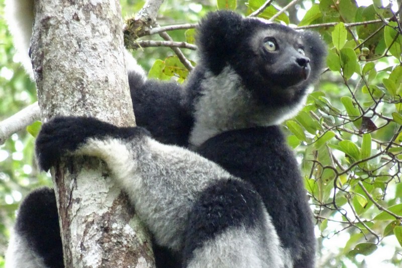 Туры на Мадагаскар