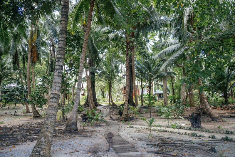 Индия: остров Нил