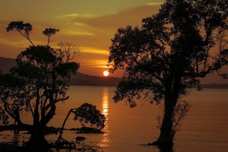 Туры в Индию