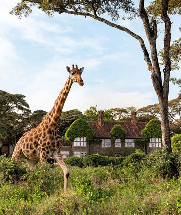 Кения: Найроби, Giraffe Manor