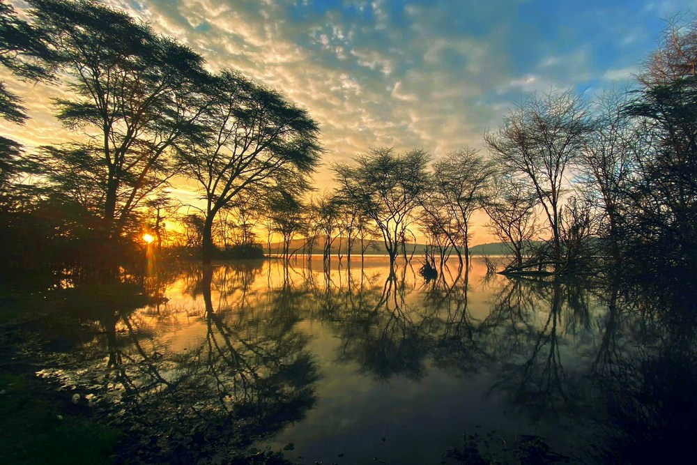 Кения: озеро Найваша