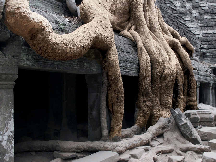 Камбоджа: Сиемреап, храмы Ангкора